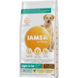 Kép 1/3 - IAMS for Vitality Light zsírszegény száraztáp felnőtt kutyák számára friss csirkehússal 3Kg