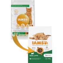 IAMS Advanced Nutrition száraz táp felnőtt macskáknak báránnyal 10Kg