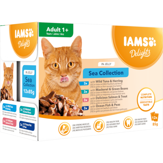IAMS Delights nedves táp felnőtt macskáknak különféle halízekben - tengeri kollekció aszpikban 12*85g