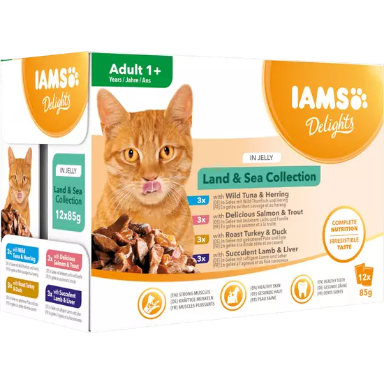 IAMS Delights nedves táp felnőtt macskáknak különféle hús- és halízekben - szárazföldi és tengeri kollekció aszpikban 12*85g
