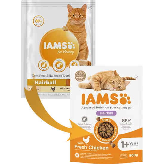 IAMS Advanced Nutrition szőrcsomó elleni száraz táp felnőtt macskáknak friss csirkével 800g